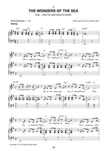 Load image into Gallery viewer, Mr Toby's Dolphin