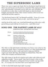 Load image into Gallery viewer, The Supersonic Lamb