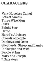 Load image into Gallery viewer, The Very Hopeless Camel