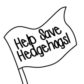 Help Save Hedgehogs!